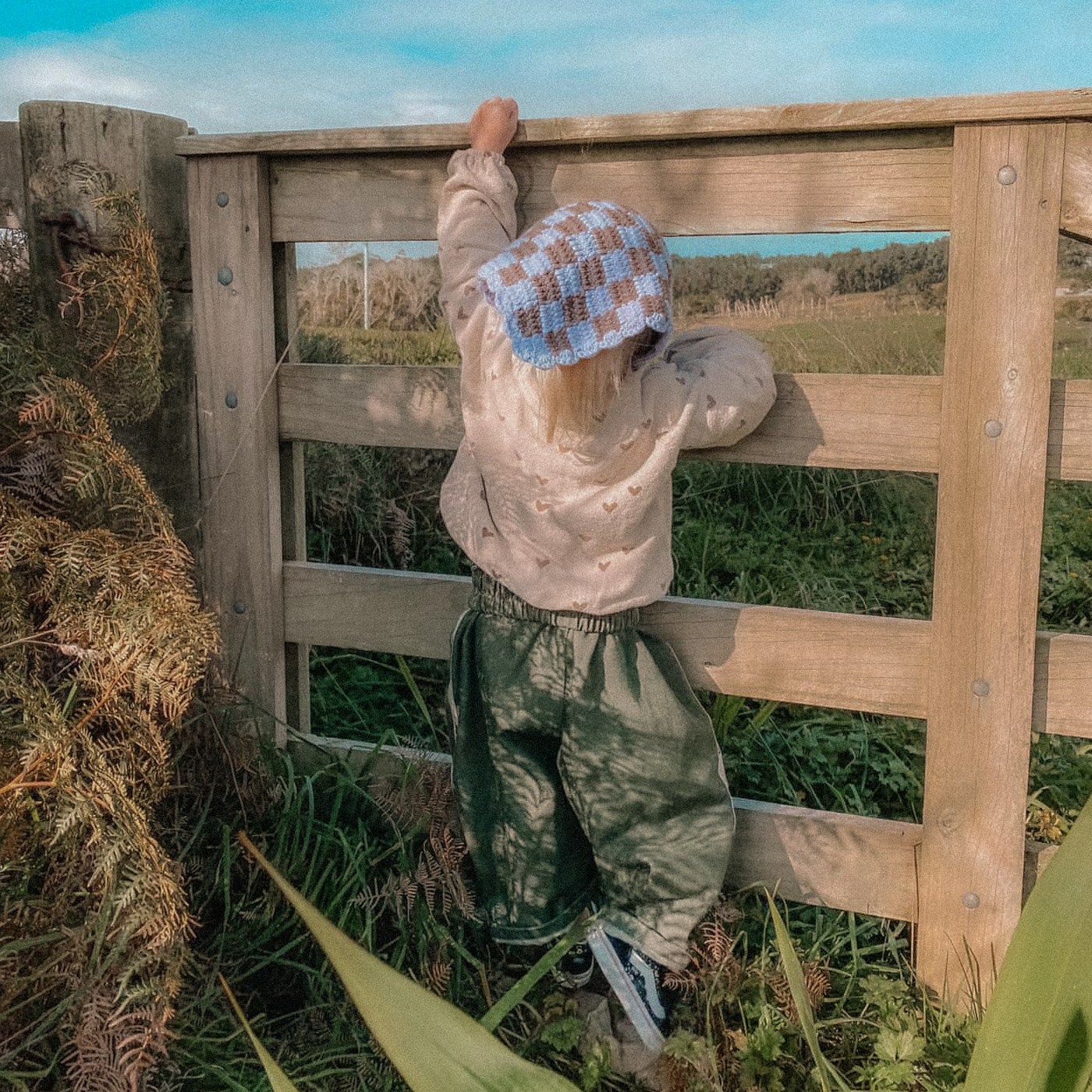 capsule collection 1.0