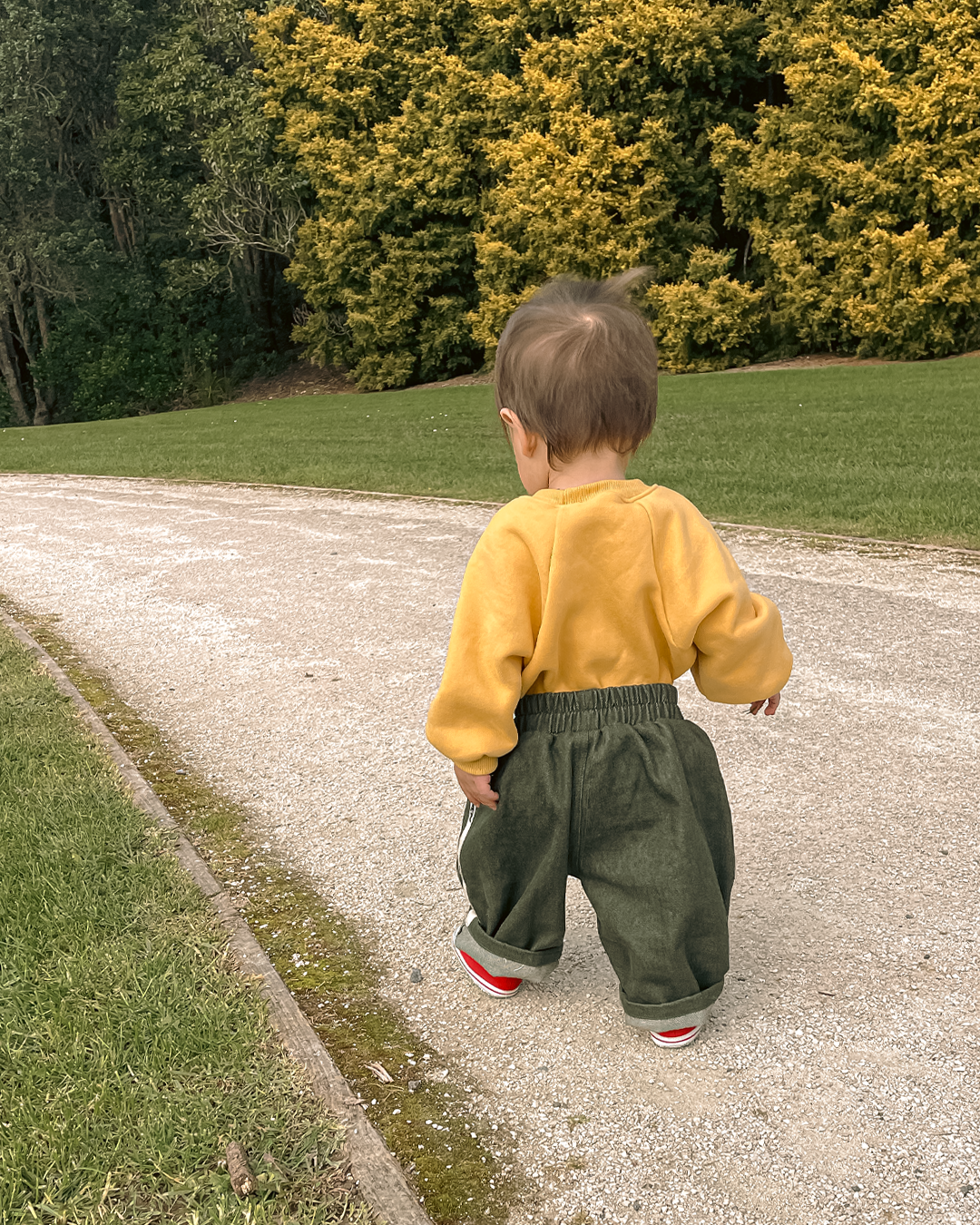 Jojo Denim Pants in Seaweed